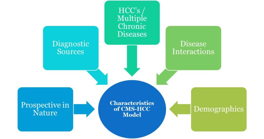 HCC Model