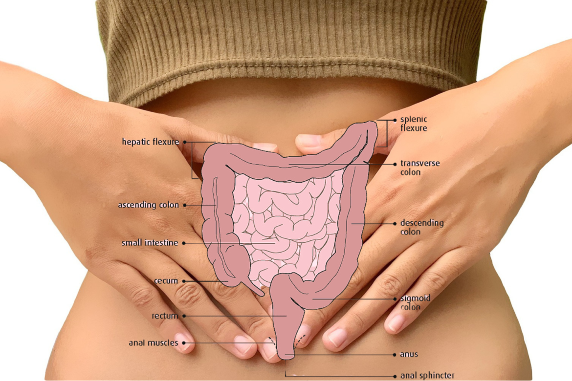 Colonoscopy Coding Mastery – Elevate Your Coding Experience Now!