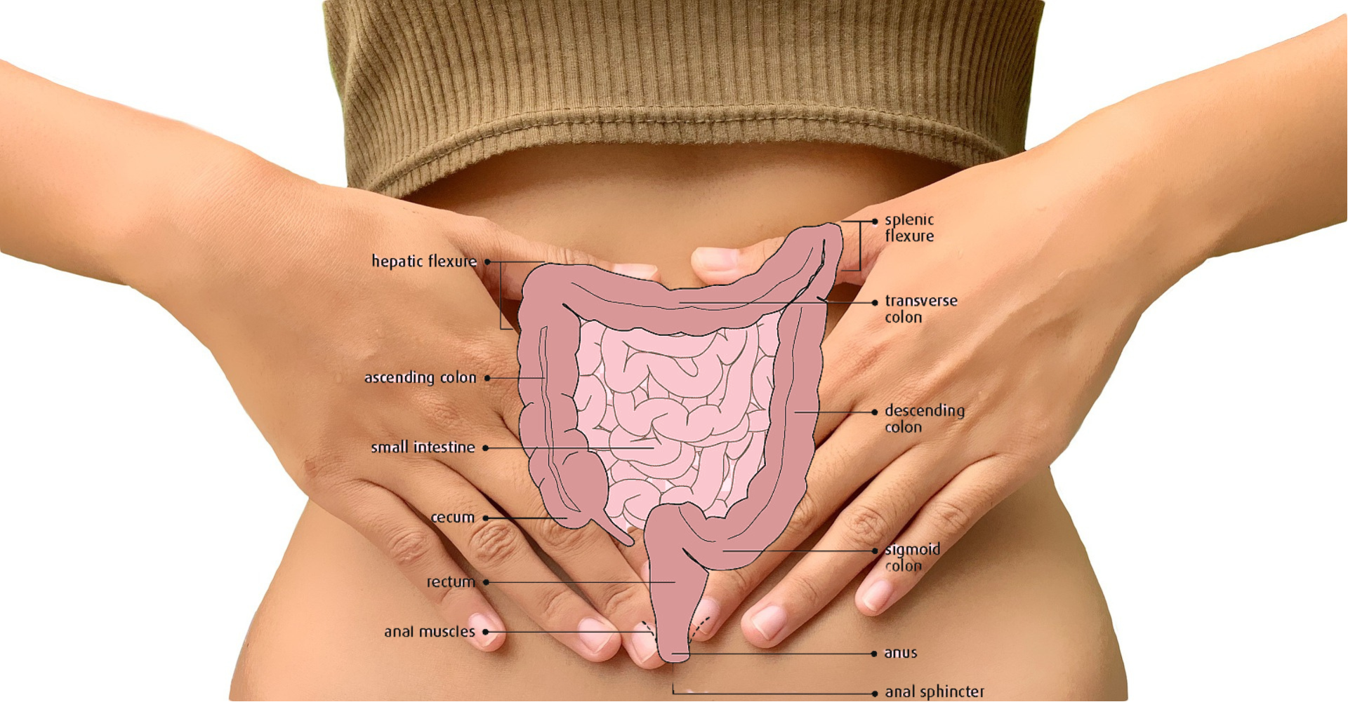 Colonoscopy Coding Mastery – Elevate Your Coding Experience Now!